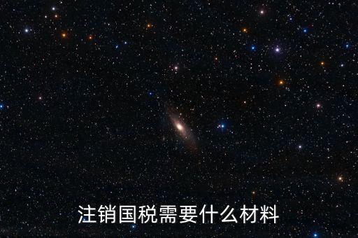 注銷(xiāo)國(guó)稅需要什么材料