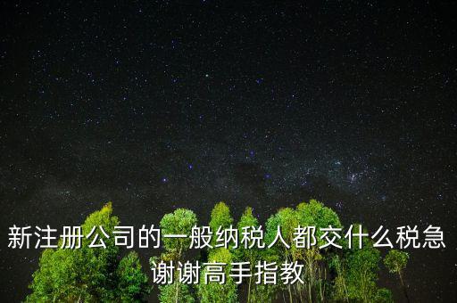 新注冊公司是什么納稅人，新辦企業(yè)是一般納稅人還是小規(guī)模納稅人