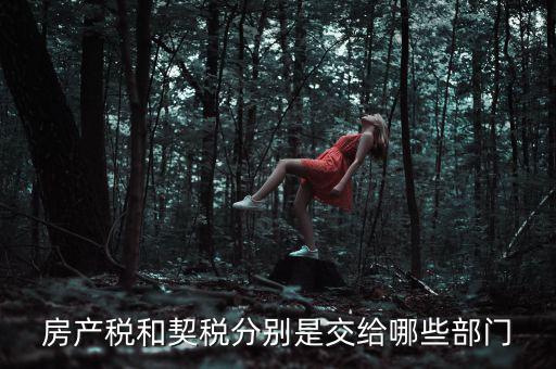 房產(chǎn)稅和契稅分別是交給哪些部門(mén)