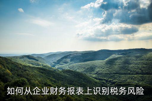 稅務(wù)風(fēng)險核查是什么意思，虛開增值稅專用發(fā)票核查 什么意思