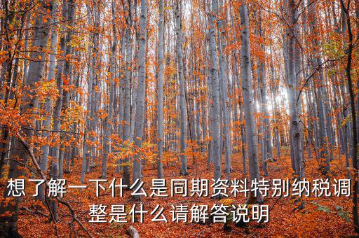 什么是特別納稅調(diào)整監(jiān)控管理階段，想了解一下什么是同期資料特別納稅調(diào)整是什么請(qǐng)解答說(shuō)明