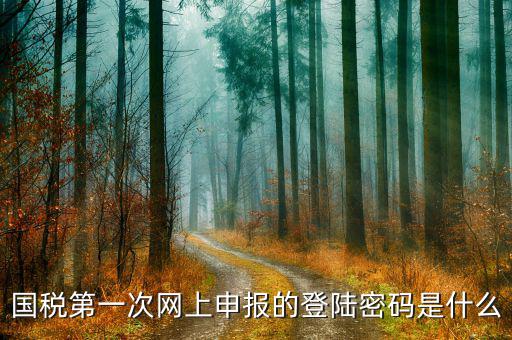 廣州國稅官網(wǎng)登錄密碼是什么，稅務(wù)局網(wǎng)站的登入賬戶初始密碼是什么