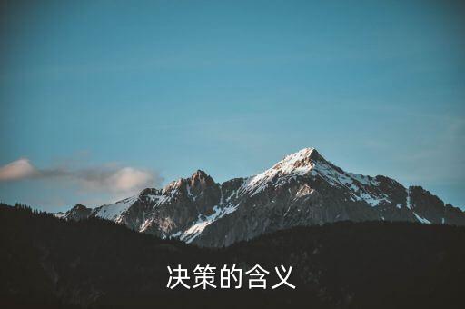 決策一包什么意思，決策的含義