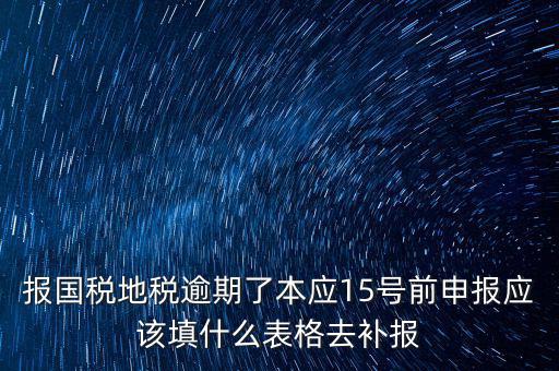 補錄國地稅信息都錄什么，報國稅地稅逾期了本應15號前申報應該填什么表格去補報