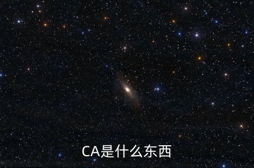 ca中心是什么，CA是什么東西