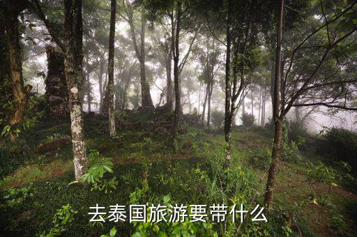 稅務(wù)局的信仰是什么，道德模范有哪些