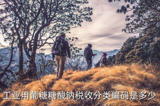 稅收分類編碼選擇錯(cuò)誤的是什么，家用墻壁開關(guān)在稅收分類編碼里屬于哪類