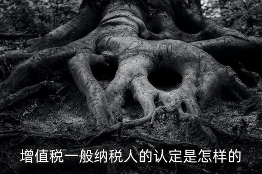 一般納稅人認(rèn)證是什么，一般納稅人資格證什么