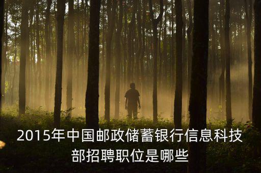 郵政2015主要工作為11333是什么，關(guān)于2015年的郵政郵遞員工作的問題