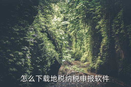 怎么下載地稅納稅申報(bào)軟件