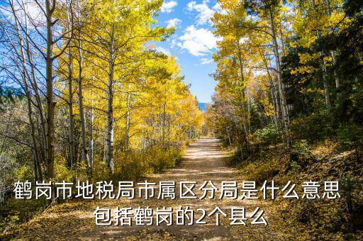 片區(qū)稅務(wù)分局是什么，陽宗海片區(qū)屬于哪個(gè)稅務(wù)局