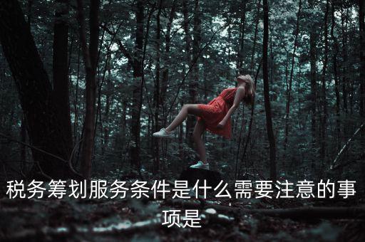 稅務(wù)籌劃服務(wù)條件是什么需要注意的事項(xiàng)是