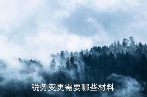變更辦稅員要帶什么，財務(wù)負(fù)責(zé)人和辦稅員的變更需要辦理哪些手續(xù)