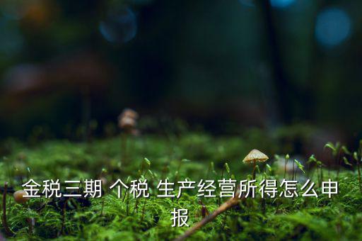 金三申報(bào)申報(bào)什么，金三系統(tǒng)怎樣申報(bào)企業(yè)所得稅稅收優(yōu)惠