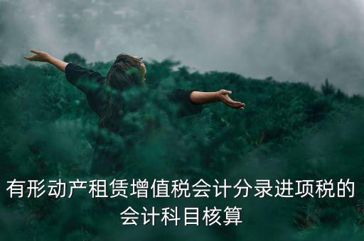 有形動產(chǎn)租賃增值稅會計(jì)分錄進(jìn)項(xiàng)稅的會計(jì)科目核算