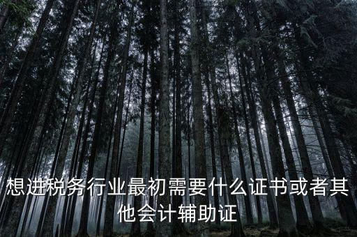 進(jìn)稅務(wù)局需要什么證件，想進(jìn)稅務(wù)行業(yè)最初需要什么證書
