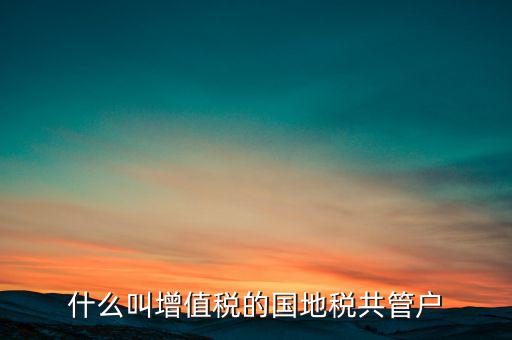 什么叫增值稅的國(guó)地稅共管戶(hù)