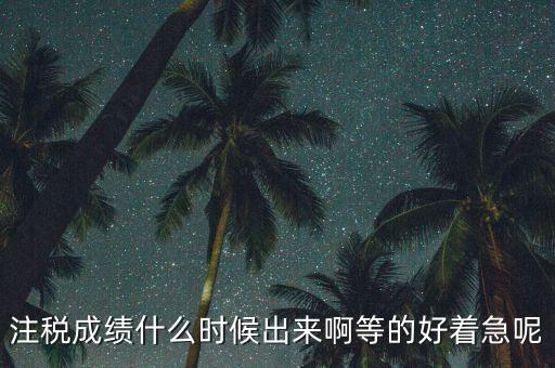 注稅成績什么時(shí)候出來啊等的好著急呢