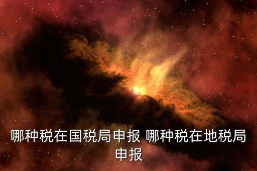 哪種稅在國稅局申報(bào) 哪種稅在地稅局申報(bào)