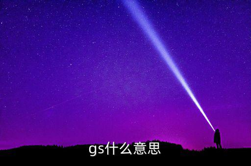 什么是gs系統(tǒng)，gs什么意思