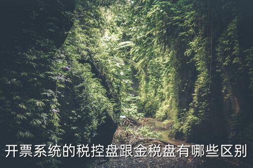 金稅盤和稅控盤什么區(qū)別，金稅盤和稅控盤開出的發(fā)票有什么區(qū)別