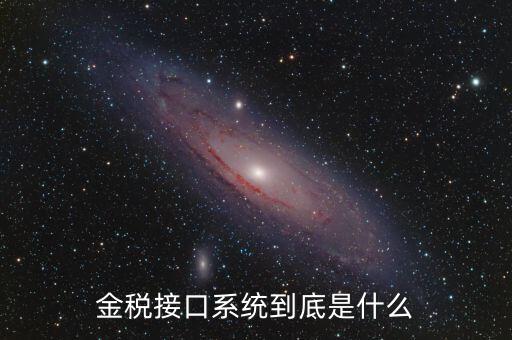 金稅售后是做什么的，鞍山金稅科技有限公司是干什么工作