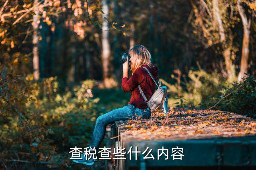 查稅查些什么內(nèi)容