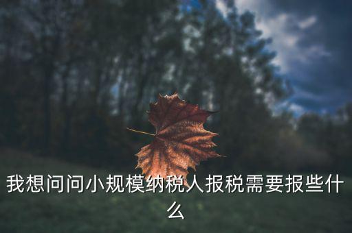 小規(guī)模國稅申報(bào)些什么，小規(guī)模納稅人國稅需要報(bào)什么資料