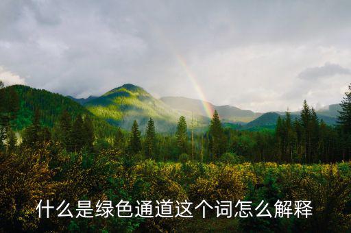 什么是綠色通道這個(gè)詞怎么解釋