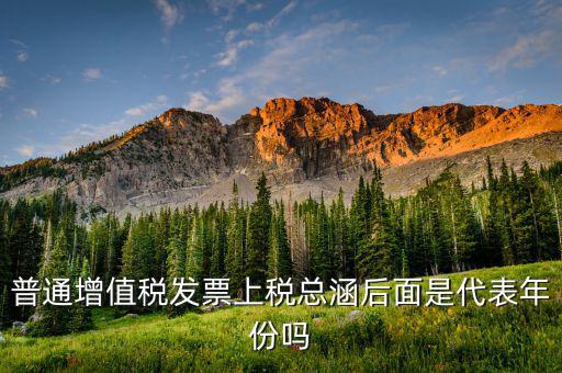 稅總涵2016代表什么意思，稅總財行便函201616號保險公司開具保險發(fā)票車船稅只在備注