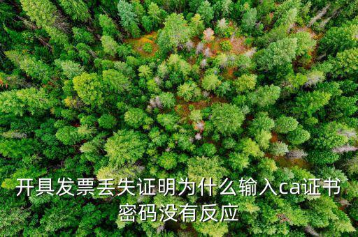 開具發(fā)票丟失證明為什么輸入ca證書密碼沒有反應(yīng)