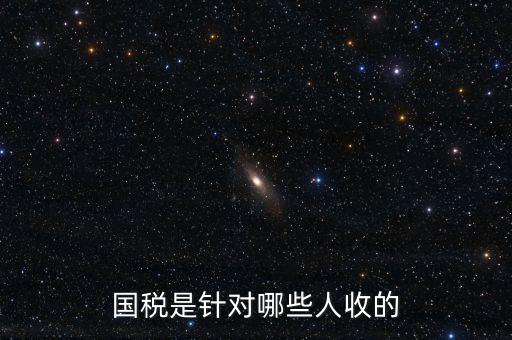 國稅都有什么人才庫，國稅有哪幾種
