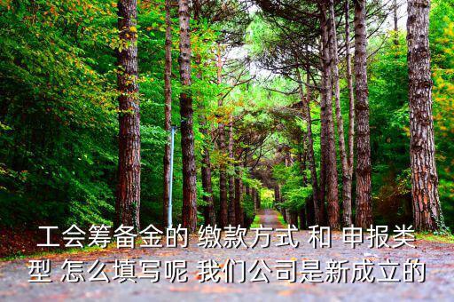 工會籌備金的 繳款方式 和 申報(bào)類型 怎么填寫呢 我們公司是新成立的