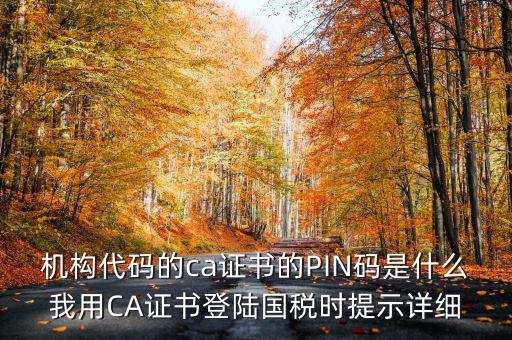國稅ca證書登錄 密碼是什么，國稅第一次網(wǎng)上申報的登陸密碼是什么