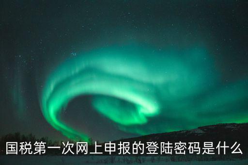 杭州國(guó)稅申報(bào)密碼是什么意思，國(guó)稅第一次網(wǎng)上申報(bào)的登陸密碼是什么