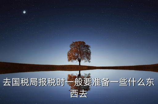 去國稅局都是帶什么東西，去國稅定稅要帶哪些東西啊我暈倒了以前從來沒定過