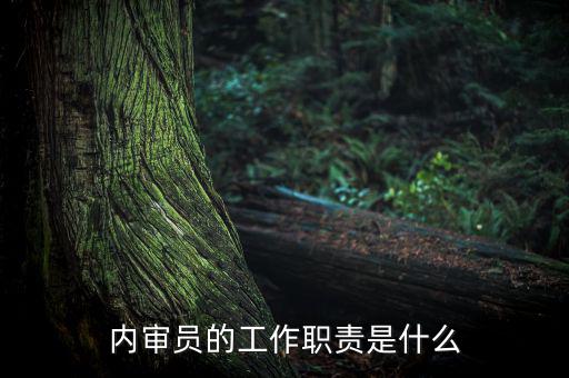 督察內(nèi)審是什么工作，內(nèi)審監(jiān)察主要工作職能