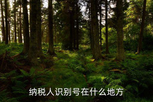 納稅人識(shí)別號(hào)在什么地方