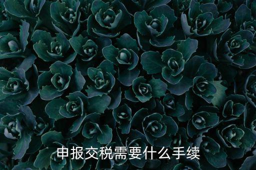 辦理稅務(wù)需要什么手續(xù)，稅務(wù)登記 代辦需要什么手續(xù)