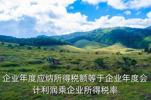應(yīng)納稅所得額等于什么，什么是應(yīng)納稅所得額