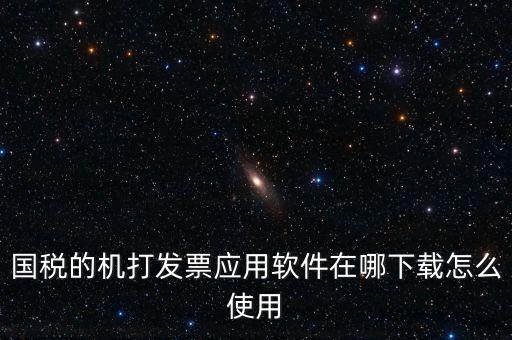 國(guó)稅的機(jī)打發(fā)票應(yīng)用軟件在哪下載怎么使用