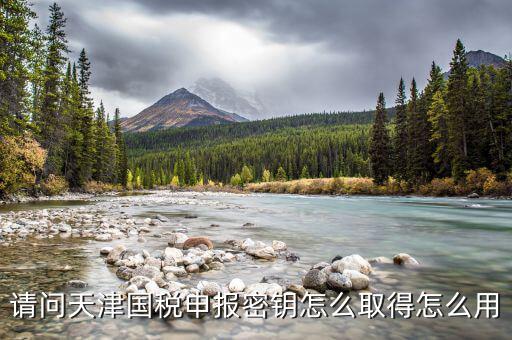 天津手機報稅app密碼是什么意思，請問天津國稅申報密鑰怎么取得怎么用
