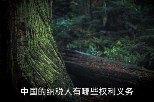 中國的納稅人有哪些權(quán)利義務