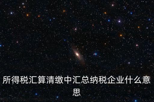 什么匯總納稅企業(yè)所得稅，關(guān)于企業(yè)所得稅匯總繳納