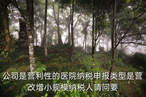 營(yíng)改增醫(yī)院用什么發(fā)票，營(yíng)改增認(rèn)定的一般納稅人使用什么發(fā)票