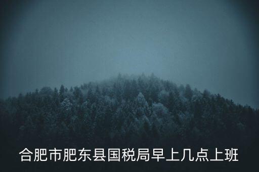 安徽國稅什么時(shí)候上班時(shí)間，國稅局的上班時(shí)間