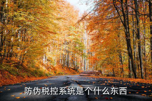 防偽稅控一體化什么時候，營改增后漢字防偽企業(yè)抄報稅時需要使用什么設(shè)備