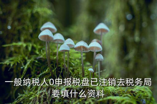 注銷金稅盤需要帶什么資料，請(qǐng)問注銷稅務(wù)登記需要提供哪些資料
