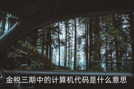 金稅三期中的計算機(jī)代碼是什么意思