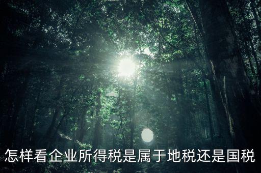 所得稅屬于什么稅，所得稅包括什么稅